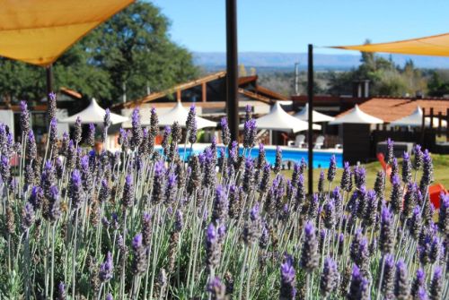 cabanas loma azul 7
